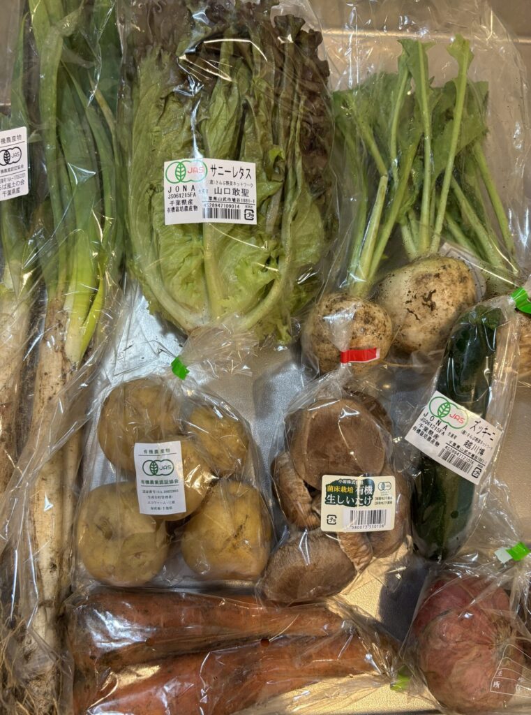 パルシステムで届いた有機野菜セットで、ネギ、サニーレタス、じゃがいもにんじん、生しいたけ、カブ、ズッキーニ、赤玉ねぎがある。